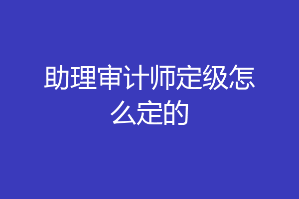 助理审计师定级怎么定的