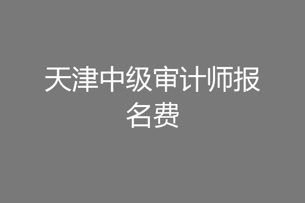 天津中级审计师报名费