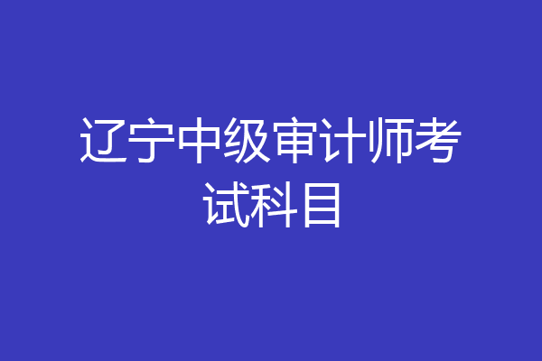 辽宁中级审计师考试科目
