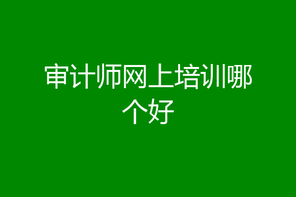 审计师网上培训哪个好