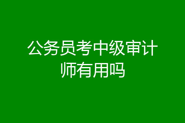 公务员考中级审计师有用吗