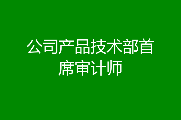 公司产品技术部首席审计师