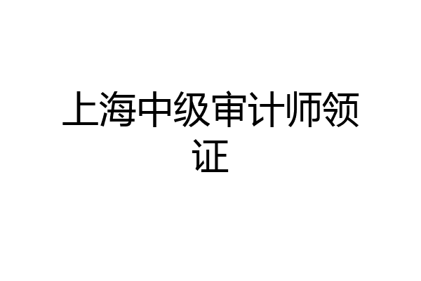 上海中级审计师领证