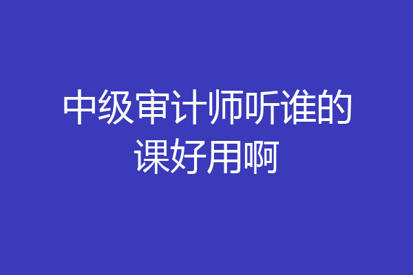 中级审计师听谁的课好用啊