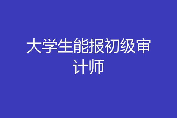 大学生能报初级审计师