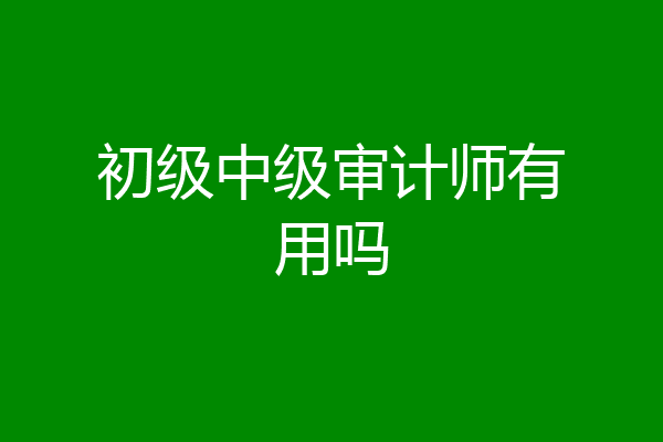 初级中级审计师有用吗