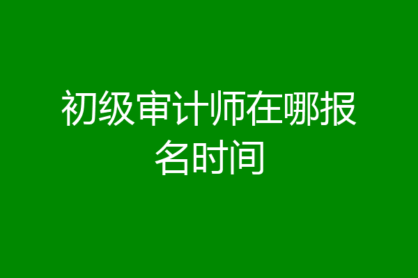 初级审计师在哪报名时间