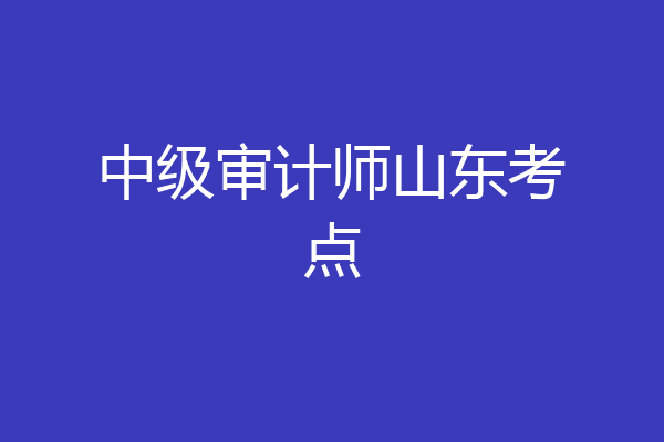 中级审计师山东考点
