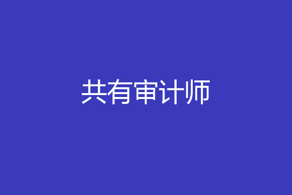 共有审计师