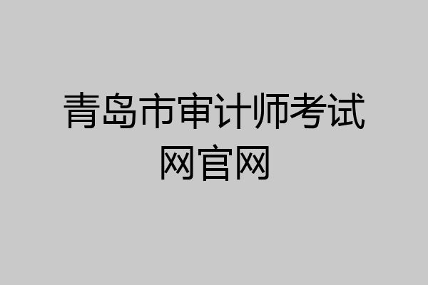青岛市审计师考试网官网