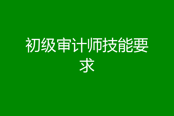 初级审计师技能要求