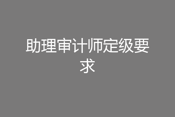 助理审计师定级要求