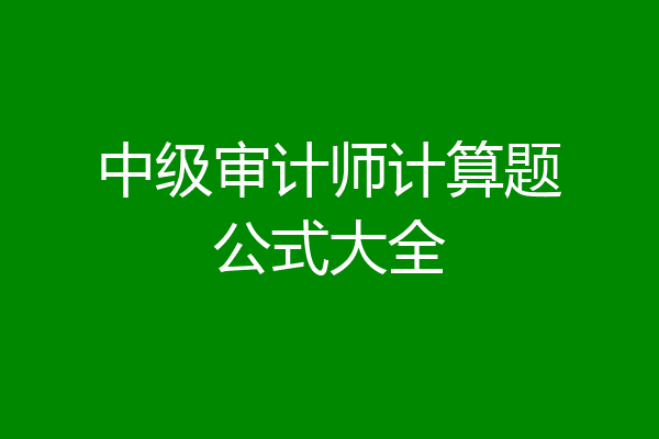中级审计师计算题公式大全