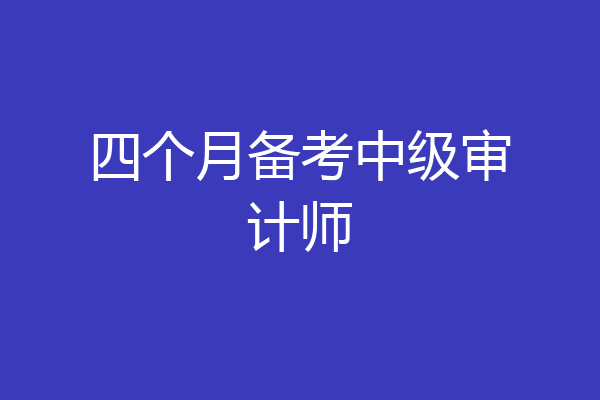 四个月备考中级审计师
