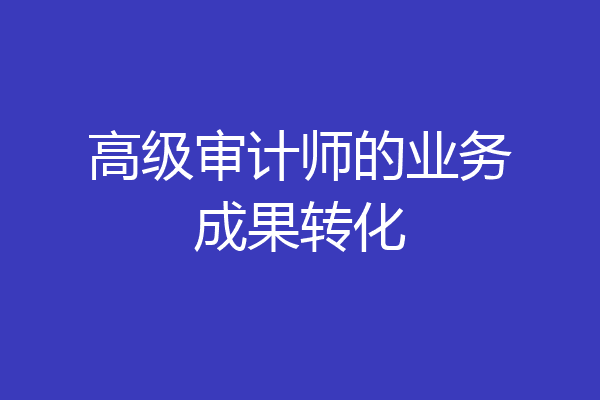 高级审计师的业务成果转化
