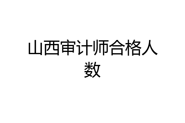 山西审计师合格人数