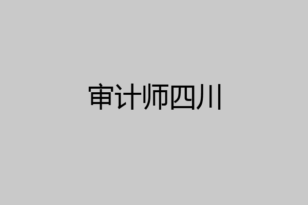 审计师四川