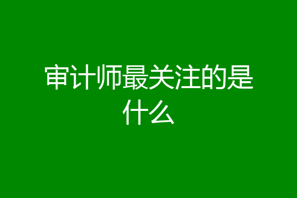 审计师最关注的是什么