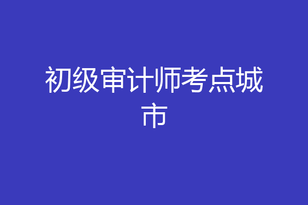 初级审计师考点城市
