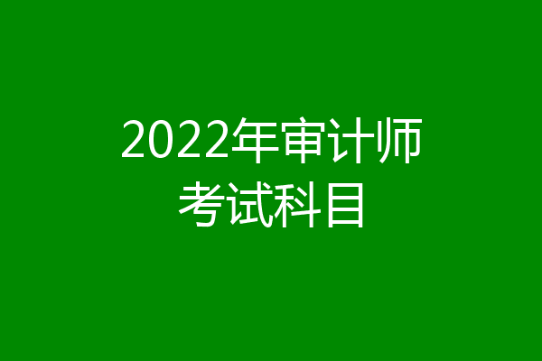 2022年审计师考试科目