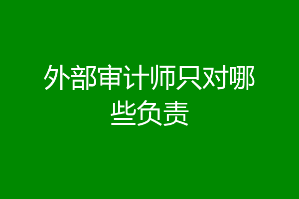 外部审计师只对哪些负责