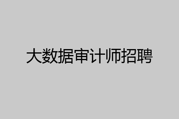 大数据审计师招聘