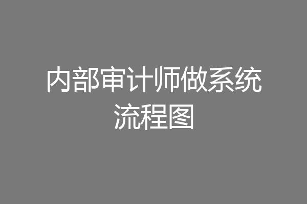 内部审计师做系统流程图