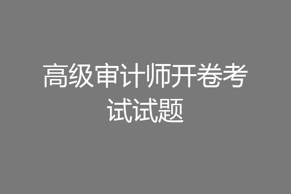 高级审计师开卷考试试题