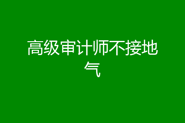 高级审计师不接地气