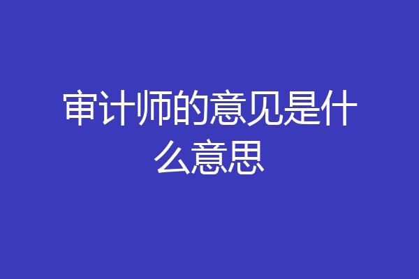 审计师的意见是什么意思
