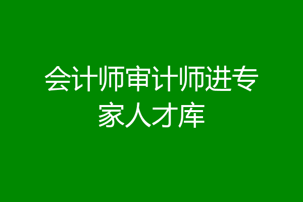 会计师审计师进专家人才库