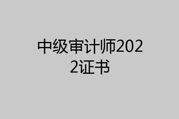 中级审计师2022证书