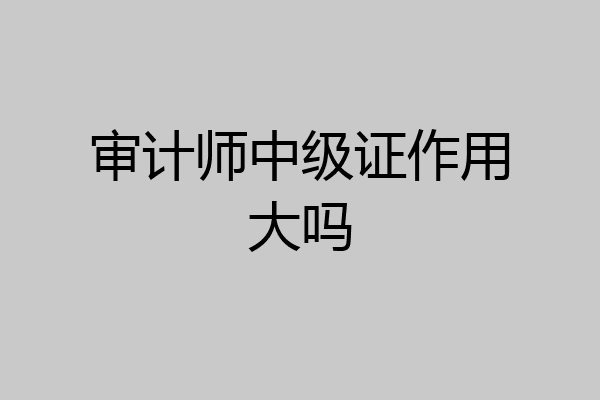 审计师中级证作用大吗