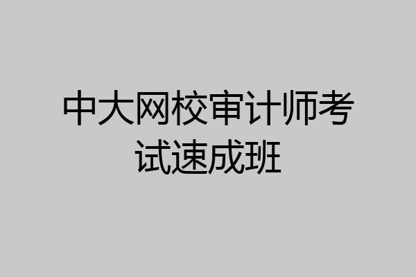中大网校审计师考试速成班