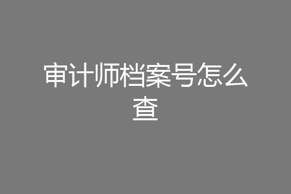 审计师档案号怎么查