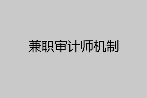 兼职审计师机制