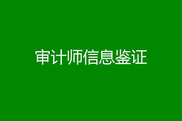 审计师信息鉴证