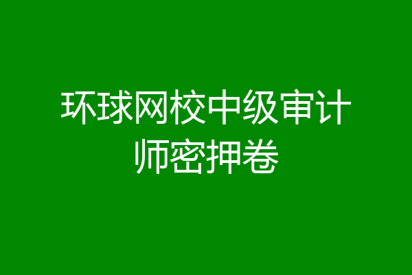 环球网校中级审计师密押卷