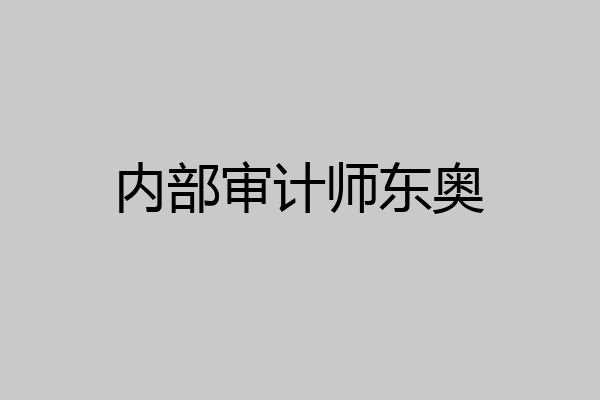 内部审计师东奥