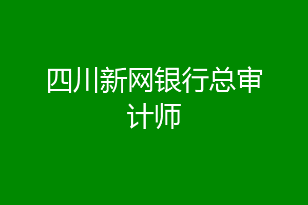 四川新网银行总审计师