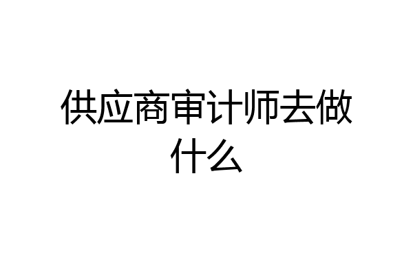 供应商审计师去做什么