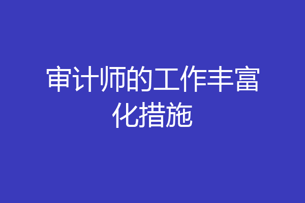 审计师的工作丰富化措施