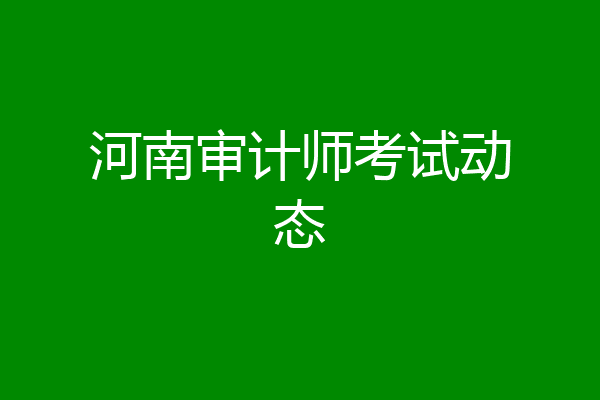 河南审计师考试动态