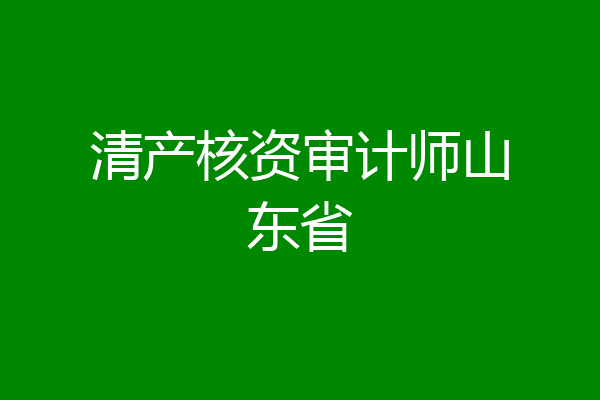 清产核资审计师山东省
