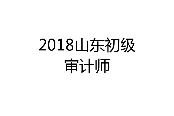 2018山东初级审计师