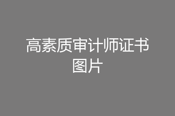 高素质审计师证书图片