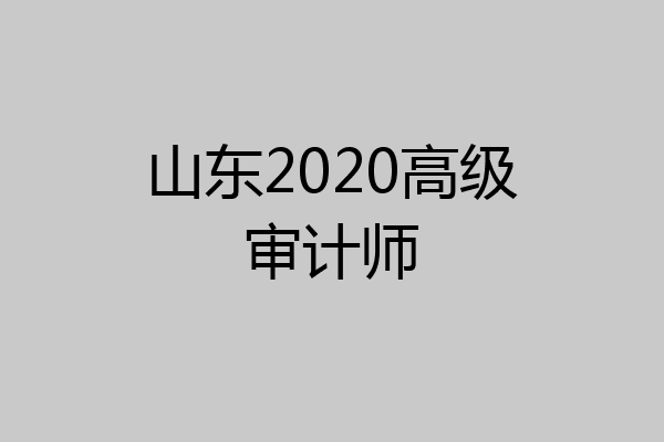 山东2020高级审计师