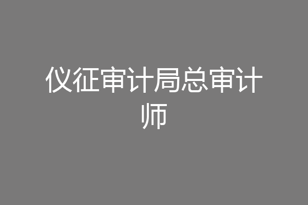 仪征审计局总审计师