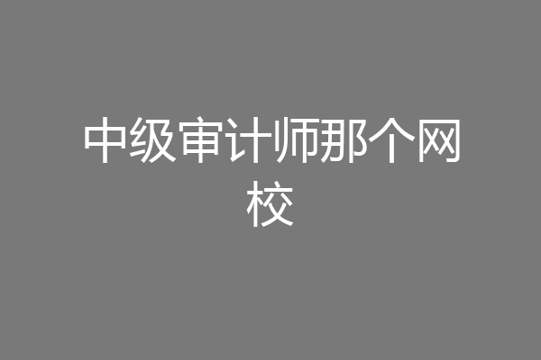 中级审计师那个网校