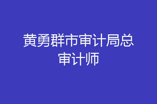黄勇群市审计局总审计师